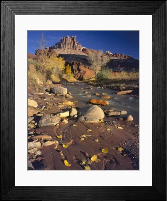 Framed Print : CAPITOL REEF NATIONAL PARK, UT, US, Cottonwood leaves along Sulphur Creek, autumn Framed Print : CAPITOL REEF NATIONAL PARK, UT, US, Cottonwood leaves along Sulphur Creek, autumn