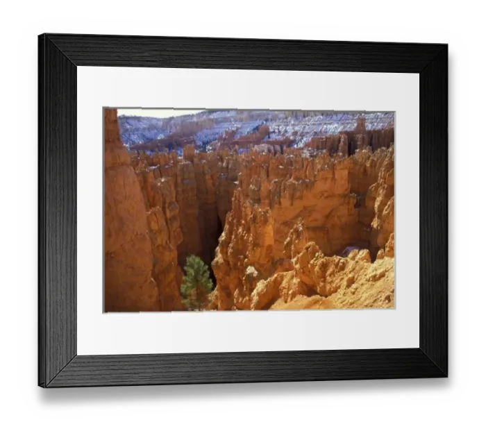 Framed Print : North America, USA, Utah, Bryce Canyon National Park. Wall Street, high on the Navajo Framed Print : North America, USA, Utah, Bryce Canyon National Park. Wall Street, high on the Navajo