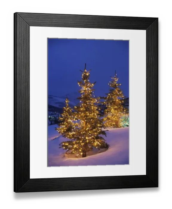 Framed Print : Christmas trees, Park City, Wastch Mountains, Utah Framed Print : Christmas trees, Park City, Wastch Mountains, Utah