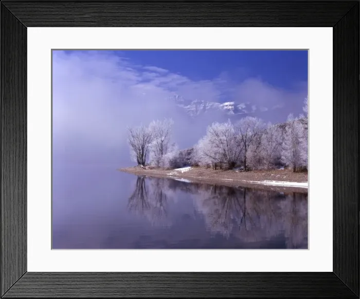 Framed Print : Rimed trees and reflection, Mt. Timpanogas above the clouds, Utah Framed Print : Rimed trees and reflection, Mt. Timpanogas above the clouds, Utah