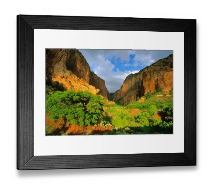 Framed Print : Kolob Canyon