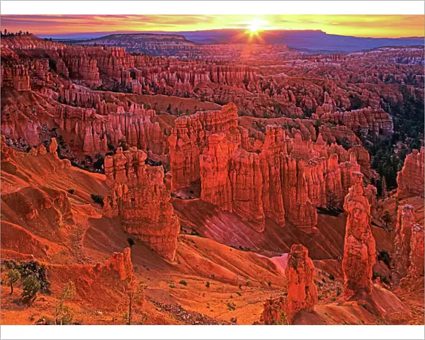 United States, Utah, Bryce Canyon National Park. Hoodoos at sunrise from Sunset Point