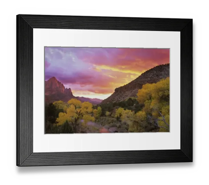 Framed Print : USA, Utah, Zion National Park. The Watchman in the distance with Virgin River in Framed Print : USA, Utah, Zion National Park. The Watchman in the distance with Virgin River in