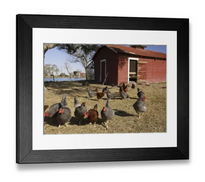 Framed Print : USA, North America, Texas Framed Print : USA, North America, Texas