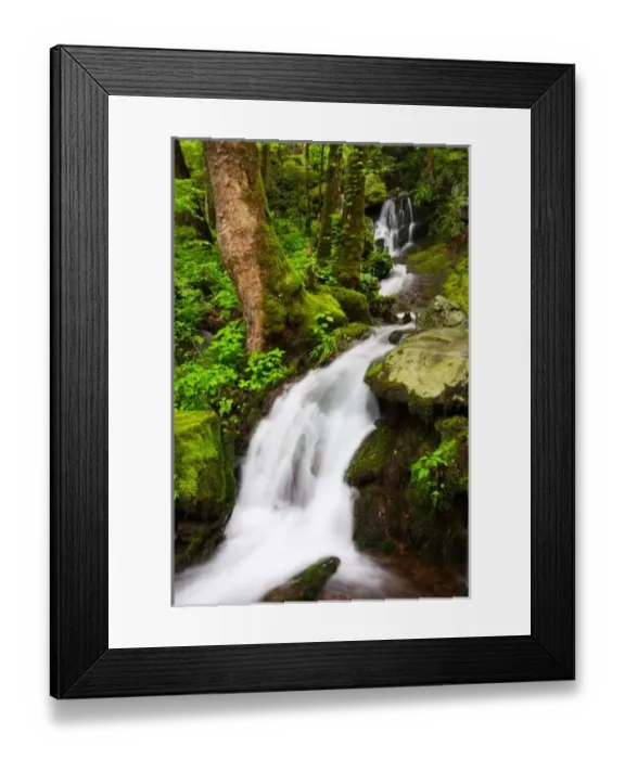 Framed Print : USA; Tennessee Framed Print : USA; Tennessee