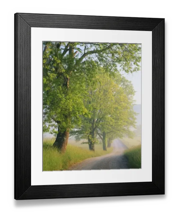 Framed Print : Fog covered road Framed Print : Fog covered road