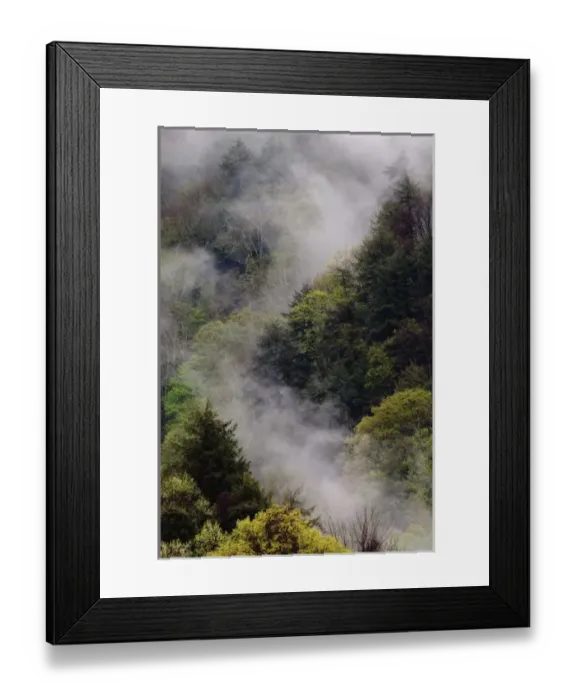Framed Print : Mist rising from mountainside after spring rain, Great Smoky Mountains National Park, TN Framed Print : Mist rising from mountainside after spring rain, Great Smoky Mountains National Park, TN