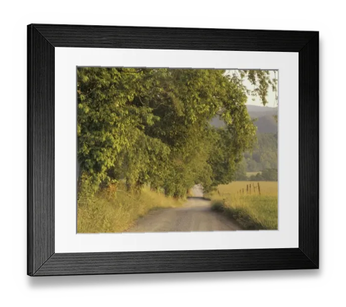 Framed Print : USA, Tennessee Framed Print : USA, Tennessee