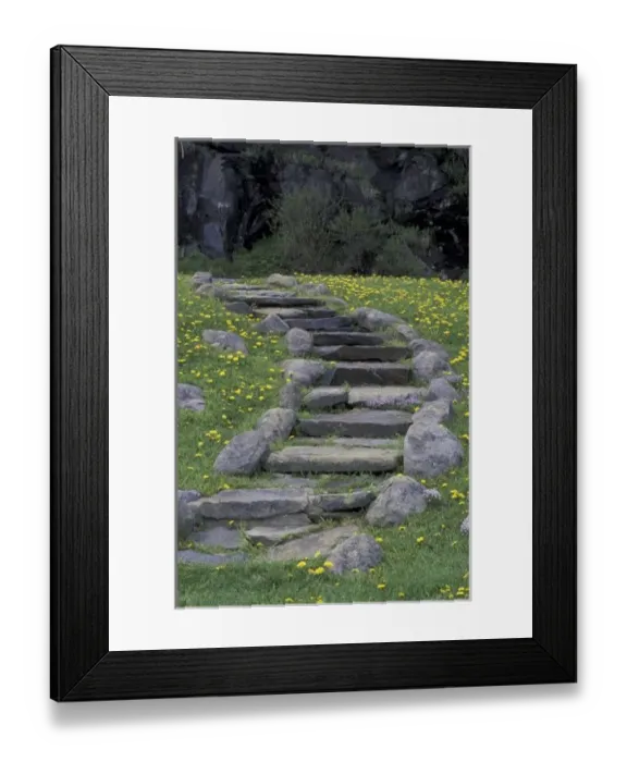 Framed Print : USA, Tennessee