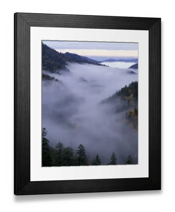 Framed Print : USA, Tennessee. Great Smokey Mountains National Park. Foggy Valley viewed from Morton