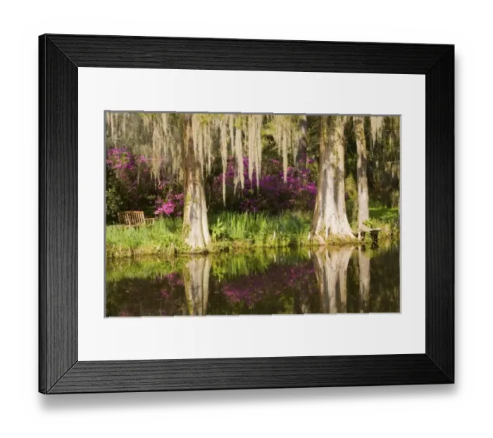 Framed Print : USA, South Carolina