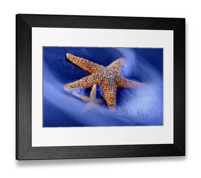 Framed Print : USA, South Carolina, Hilton Head Island. Two starfish on beach with ocean water swirling Framed Print : USA, South Carolina, Hilton Head Island. Two starfish on beach with ocean water swirling