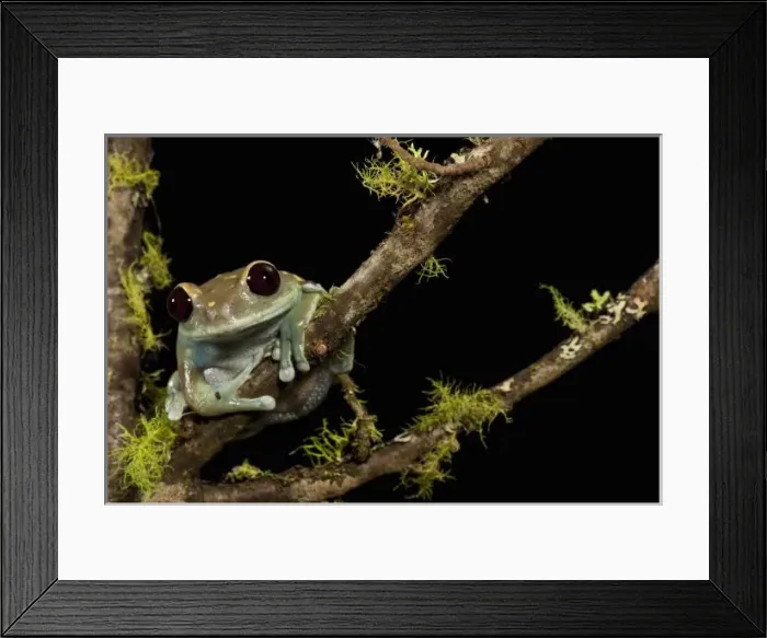 Framed Print : Central PA, USA Framed Print : Central PA, USA
