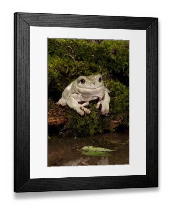 Framed Print : USA, North America, Pennsylvania