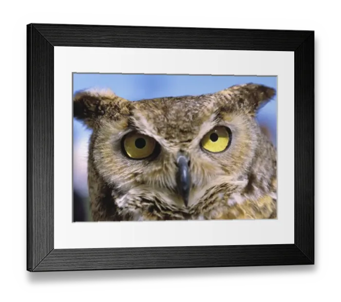 Framed Print : USA, North America, Oregon
