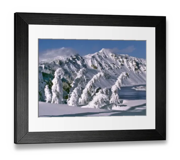 Framed Print : USA, Oregon, Crater Lake NP. Trees bow under the weight of winter snow in Crater Lake National Park