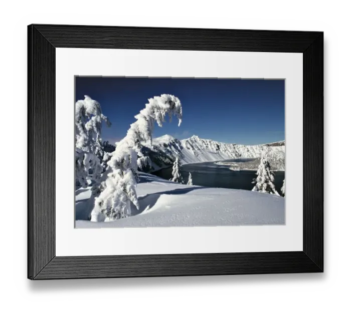 Framed Print : USA, Oregon, Crater Lake NP. Pristine snow covers the pines surrounding Crater Lake
