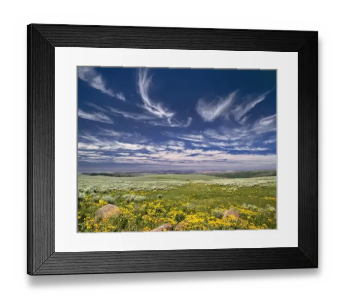 Framed Print : USA, Oregon, Steens Mountain. Spring burgeons beneath a sky rippled by fairy tale clouds Framed Print : USA, Oregon, Steens Mountain. Spring burgeons beneath a sky rippled by fairy tale clouds