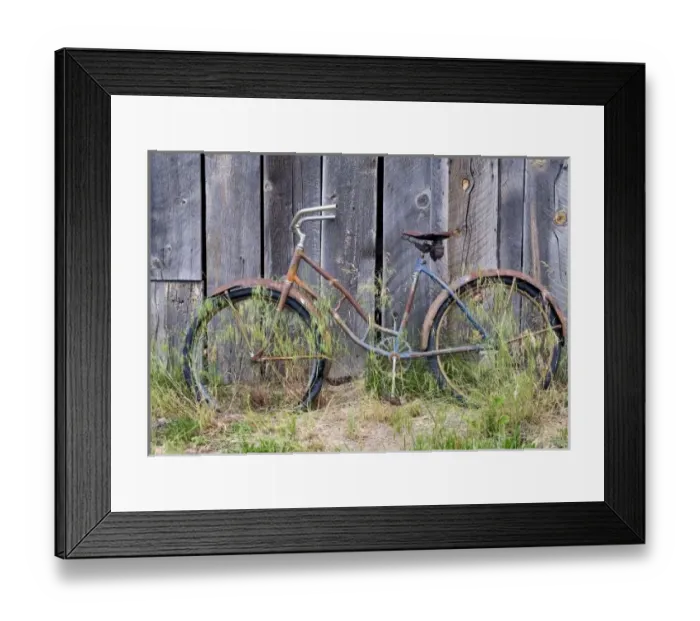 Framed Print : USA, Oregon, Bend. A dilapidated old bike leans against an old barn in Bend, Oregon