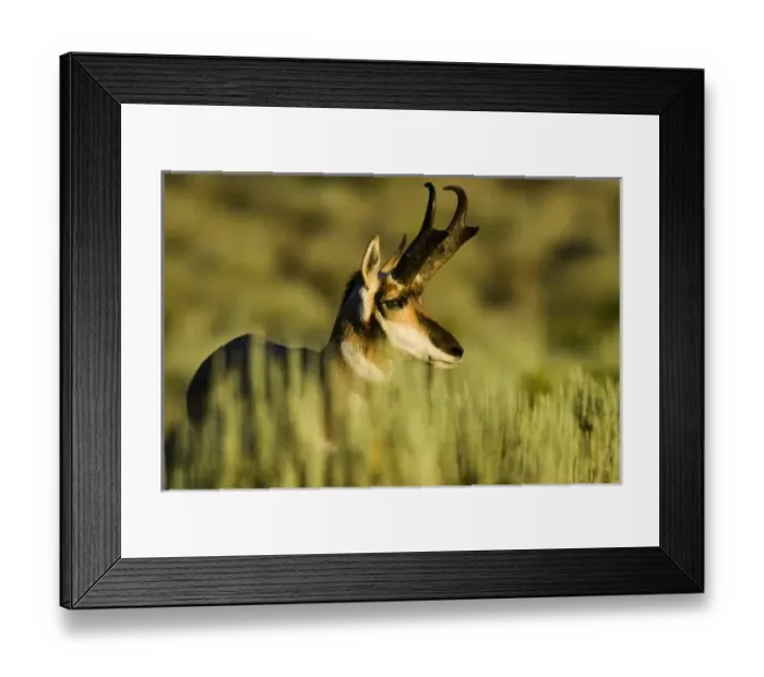 Framed Print : USA, North America, Oregon Framed Print : USA, North America, Oregon