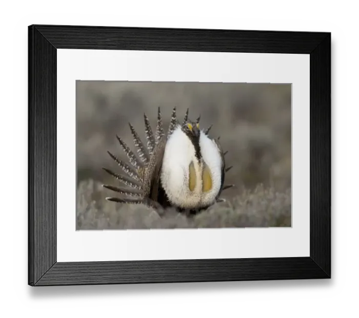 Framed Print : USA, North America, Oregon