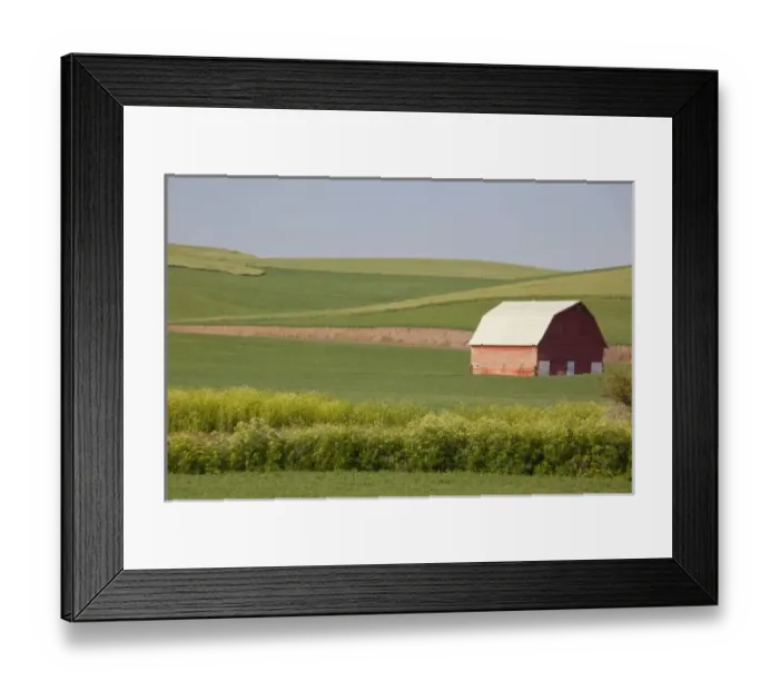 Framed Print : USA, Washington, Whitman County, The Palouse, Red barn in green field, along Endicott Framed Print : USA, Washington, Whitman County, The Palouse, Red barn in green field, along Endicott