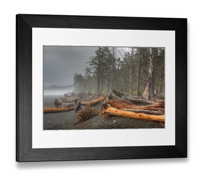 Framed Print : USA, Washington, Olympic National Park, Rialto Beach, Beached trees, from ocean storms Framed Print : USA, Washington, Olympic National Park, Rialto Beach, Beached trees, from ocean storms