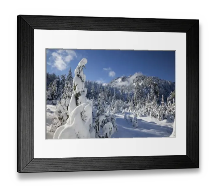 Framed Print : WA, Alpine Lakes Wilderness, Snow Lake basin Framed Print : WA, Alpine Lakes Wilderness, Snow Lake basin