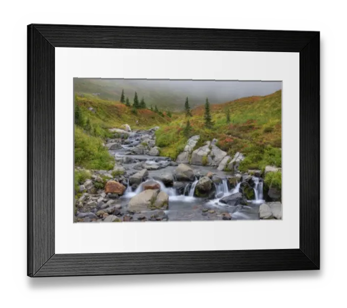 Framed Print : WA, Mt. Rainier National Park, Edith Creek Framed Print : WA, Mt. Rainier National Park, Edith Creek