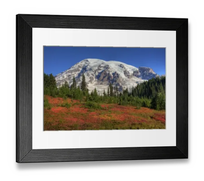 Framed Print : WA, Mt. Rainier National Park, Paradise Valley and Mt. Rainier Framed Print : WA, Mt. Rainier National Park, Paradise Valley and Mt. Rainier