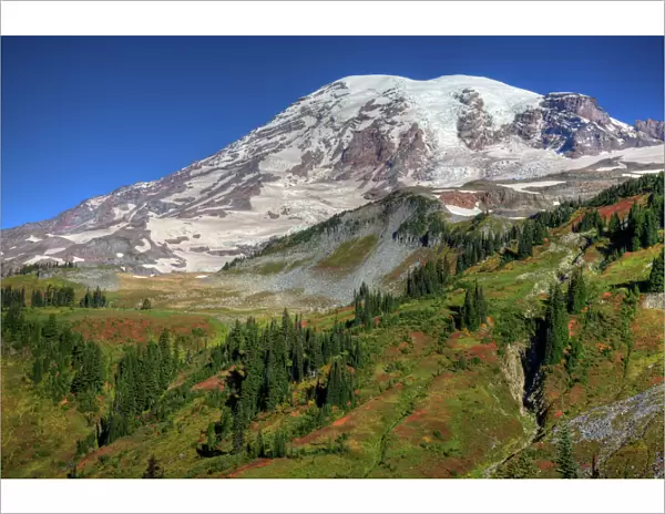 WA, Mt. Rainier National Park, view from the Skyline Trail of Mt. Rainier and fall