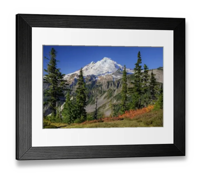 Framed Print : WA, Heather Meadows Recreation Area, view of Mt. Baker from Kulshan Ridge at Artist s Framed Print : WA, Heather Meadows Recreation Area, view of Mt. Baker from Kulshan Ridge at Artist s