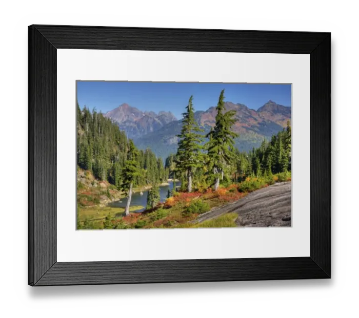 Framed Print : WA, Heather Meadows Recreation Area, meadow with Bagley Lakes Framed Print : WA, Heather Meadows Recreation Area, meadow with Bagley Lakes