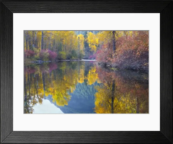 Framed Print : WA, Wenatchee National Framed Print : WA, Wenatchee National