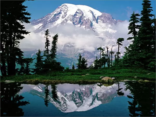 Mount Rainier relected in a mountain tarn (pond), Pinnacle Peak, Tatoosh Range, Mount