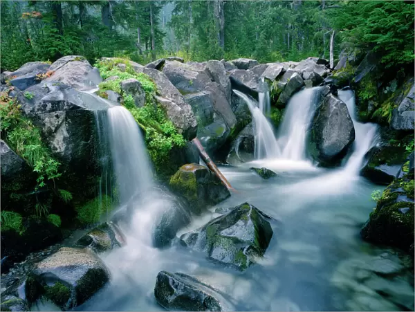 Paradise Creek flows down slopes of Mount Rainier, Washington, USA