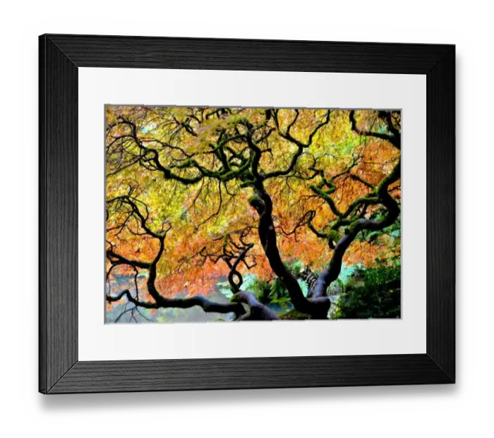 Framed Print : USA, North America, Washington