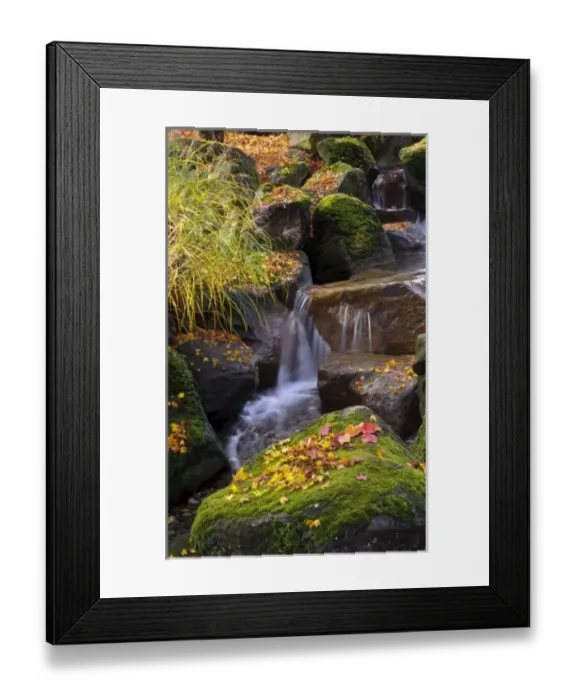 Framed Print : USA, North America, Washington Framed Print : USA, North America, Washington