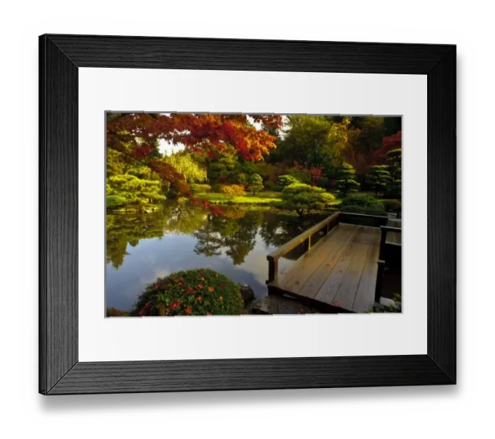 Framed Print : Arboretum, Japanese Garden, Seattle, Washington, USA