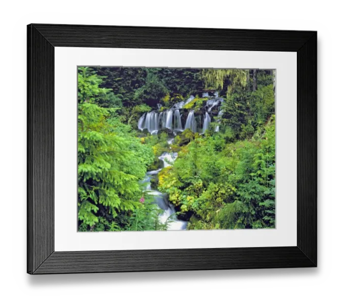 Framed Print : USA, Washington State, Mt Adams Wilderness. Twin Creek Falls cascades through lush
