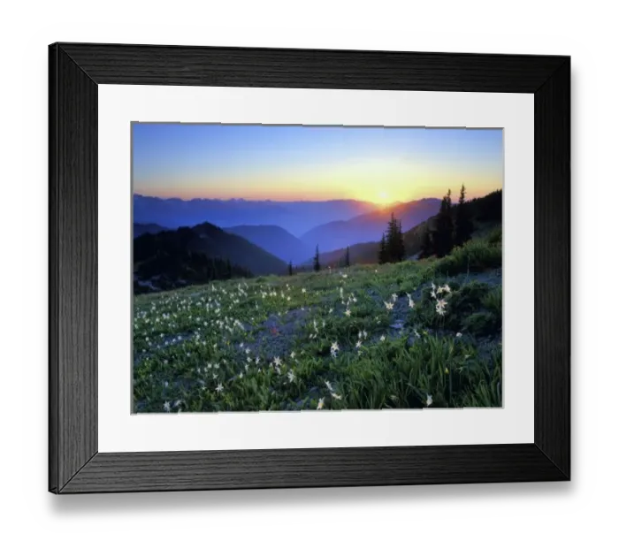 Framed Print : Obstruciton Point Sunset, Olympic NP, WA, USA Framed Print : Obstruciton Point Sunset, Olympic NP, WA, USA