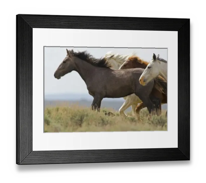 Framed Print : USA, Wyoming, Carbon Framed Print : USA, Wyoming, Carbon