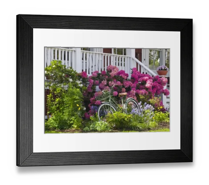 Framed Print : USA, North America, Washington Framed Print : USA, North America, Washington