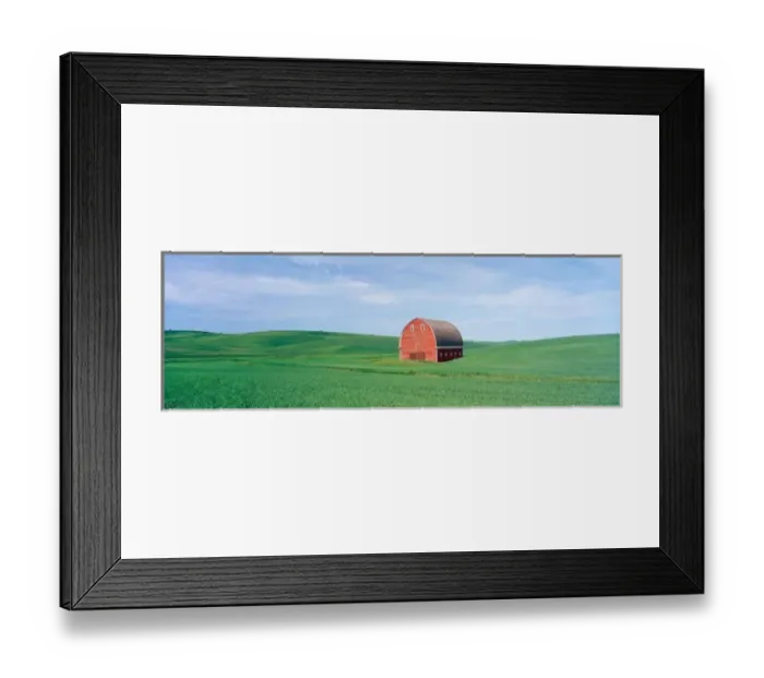 Framed Print : NA, USA, WA, Whitman County, Red Barn in Spring Pea Field Framed Print : NA, USA, WA, Whitman County, Red Barn in Spring Pea Field