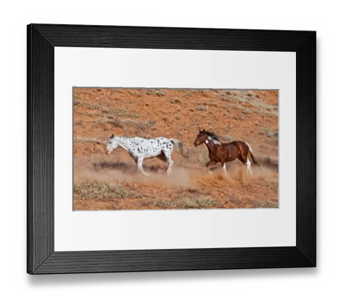 Framed Print : USA, North America, Wyoming Framed Print : USA, North America, Wyoming