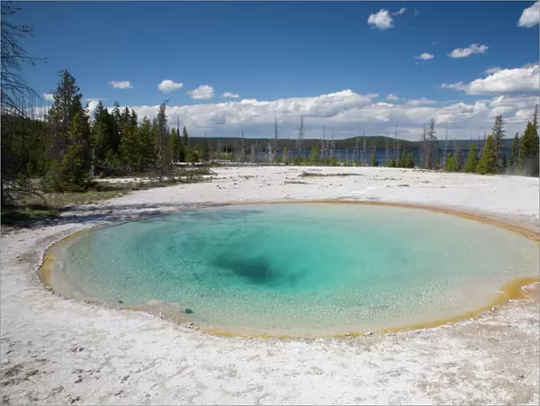 WY, Yellowstone National Park, West Thumb Geyser Basin, on the shore of Yellowstone Lake