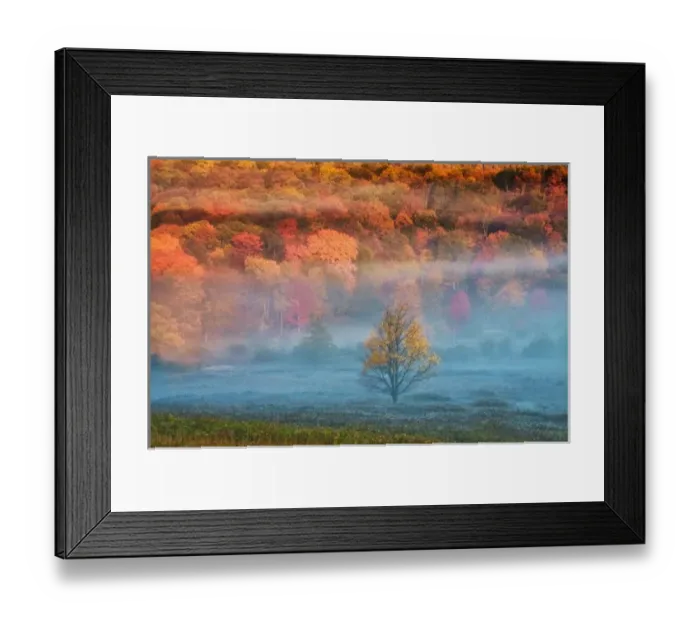Framed Print : USA, West Virginia, Davis. Mist and forest in autumn color. Credit as: Jay O Brien Framed Print : USA, West Virginia, Davis. Mist and forest in autumn color. Credit as: Jay O Brien