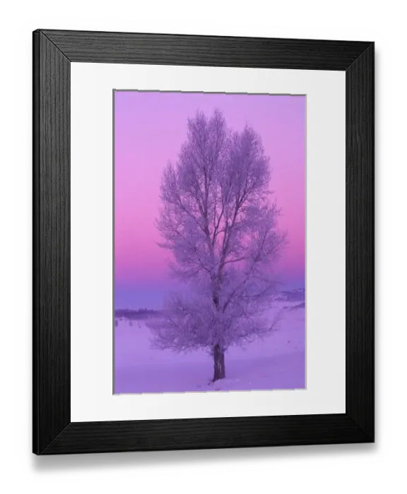 Framed Print : NA, USA, Wyoming, Yellowstone NP, Landscape