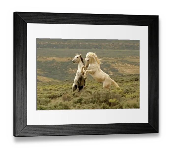 Framed Print : USA, North America, Wyoming Framed Print : USA, North America, Wyoming