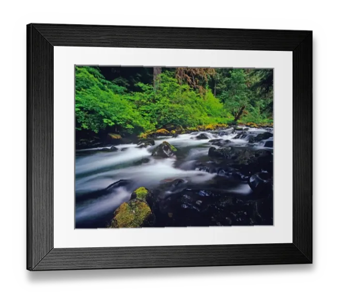 Framed Print : Sol duc Creek flows through Olympic National Park in Washington Framed Print : Sol duc Creek flows through Olympic National Park in Washington